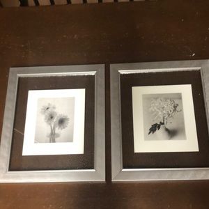 Floral photography image in glass/metal frames